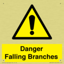 danger-falling-branches~